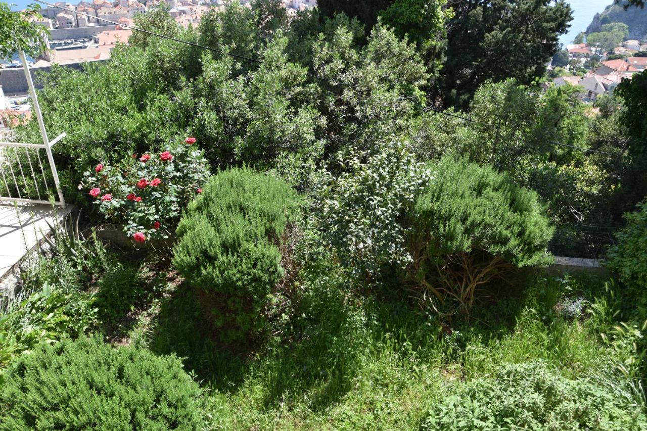 דוברובניק Sunny Summer מראה חיצוני תמונה